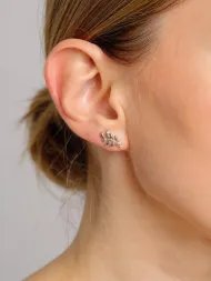 Sidabriniai auskarai su cirkoniu – lapelių šakelės dizainas