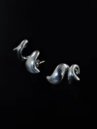 Silver earrings – expressive women’s statement earrings