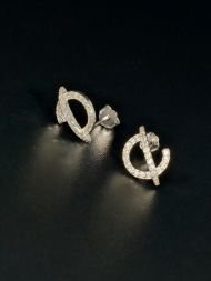 Auskarai Crescent Moon